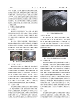 岩土工程技术2025年10月第5期