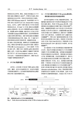 遗传2025年6月第6期