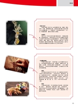 综艺报2025年7月第14期