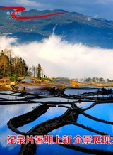 综艺报2025年8月第15期