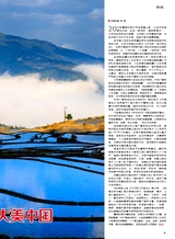 综艺报2025年8月第15期