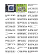 中国中小学美术2024年5月第5期