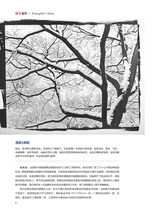 摄影与摄像2025年4月第4期