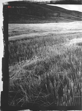 摄影与摄像2025年4月第4期