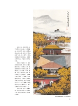 摄影与摄像2025年7月第7期