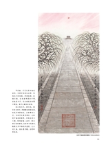 摄影与摄像2025年7月第7期