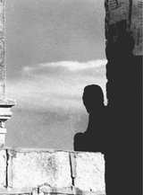 摄影与摄像2025年3月第3期