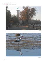 摄影与摄像2024年12月第12期