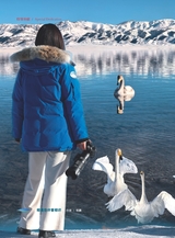 摄影与摄像2025年1月第1期