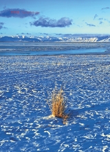 摄影与摄像2025年1月第1期