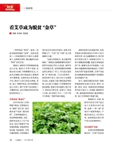 人民周刊2019年9月第17期
