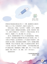 作文·小学2-4年级2025年7-8月27期合刊