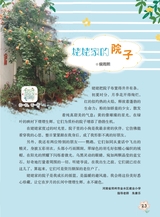 作文·小学2-4年级2025年7-8月27期合刊