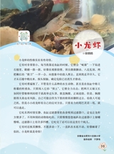 作文·小学2-4年级2025年7-8月27期合刊