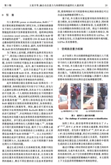 哈尔滨理工大学学报2025年6月第3期