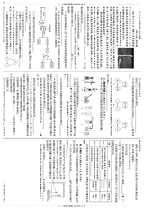 数理报·中考化学人教版2025年5-6月45-52期合刊
