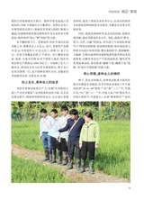 恋爱·婚姻·家庭（上半月）2025年4月第4期