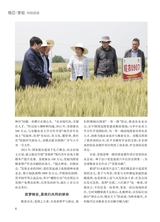 恋爱·婚姻·家庭（上半月）2025年4月第4期