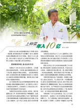 恋爱·婚姻·家庭（上半月）2025年7月第7期