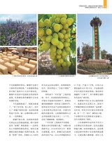 中国经济周刊2025年7月第13期