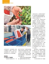 中国经济周刊2025年7月第13期