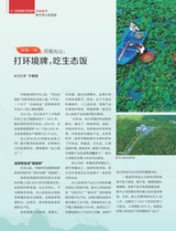 中国经济周刊2025年8月第15期