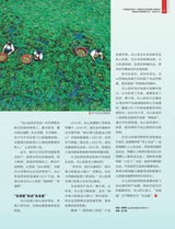 中国经济周刊2025年8月第15期