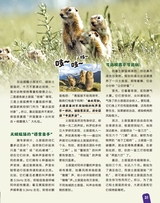 学与玩2025年6月第6期