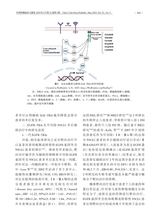 中国肿瘤临床与康复2025年5月第5期