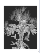 摄影之友2025年5月第5期