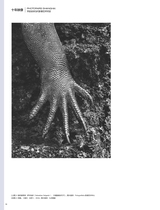 摄影之友2025年5月第5期