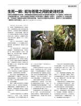 摄影之友2025年6月第6期