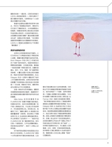 摄影之友2025年6月第6期