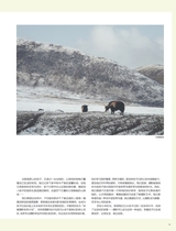 摄影之友2025年6月第6期