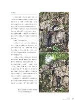 中国收藏2025年4月第4期