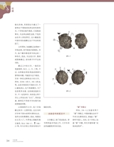 中国收藏2025年8月第8期