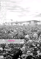 作文通讯·锦瑟2014年12月第12期