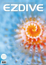 EZDIVE2024年12月第6期