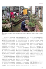 中印对话2020年2月第1期