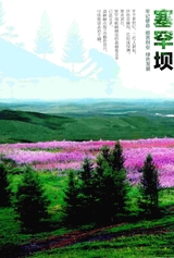 中印对话2020年2月第1期