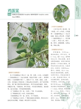 岭南药用植物图志（下册）2022年12月第1期