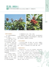 岭南药用植物图志（下册）2022年12月第1期