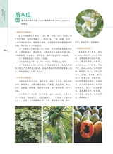 岭南药用植物图志（下册）2022年12月第1期