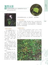 岭南药用植物图志（下册）2022年12月第1期