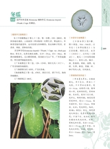 岭南药用植物图志（下册）2022年12月第1期