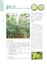 岭南药用植物图志（下册）2022年12月第1期