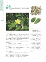 岭南药用植物图志（下册）2022年12月第1期