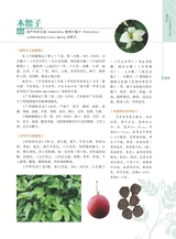 岭南药用植物图志（下册）2022年12月第1期