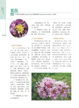 岭南药用植物图志（下册）2022年12月第1期