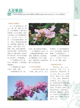 岭南药用植物图志（下册）2022年12月第1期
